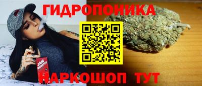 герыч Дубна