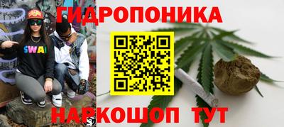 СК Донецк