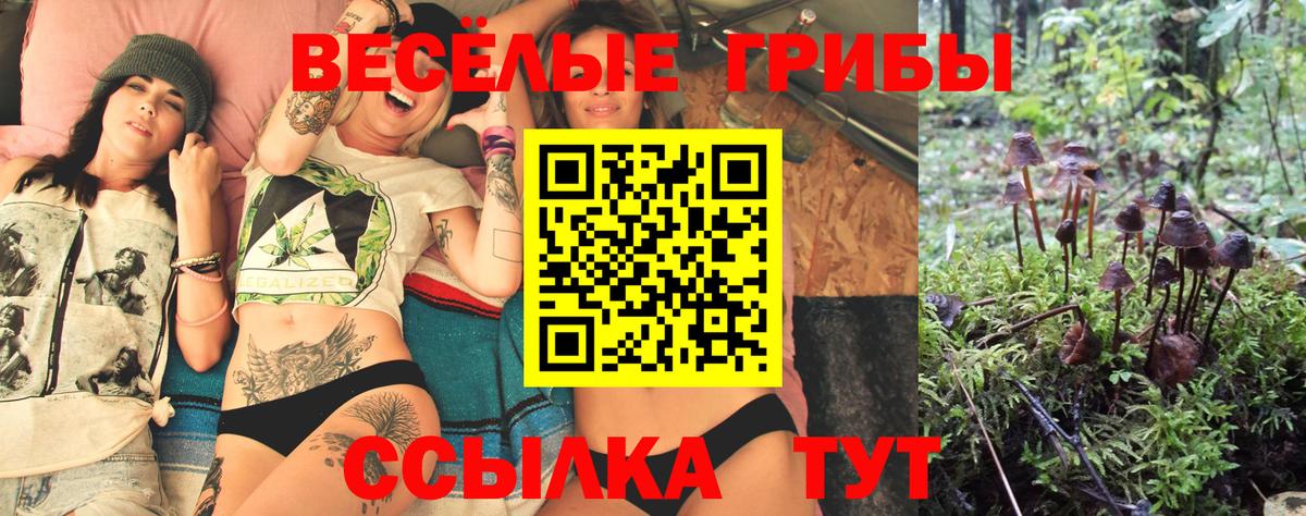 Галлюциногенные грибы мухоморы Добрянка